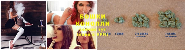 соль ск Бородино