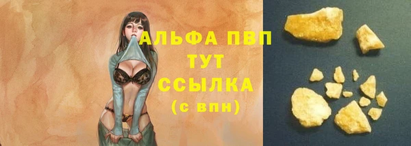 соль ск Бородино