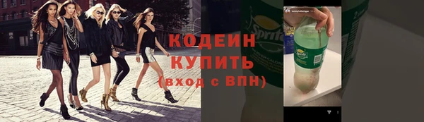 соль ск Бородино