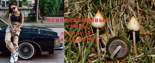 дмт Бронницы
