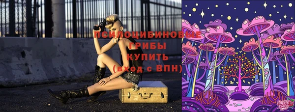 соль ск Бородино