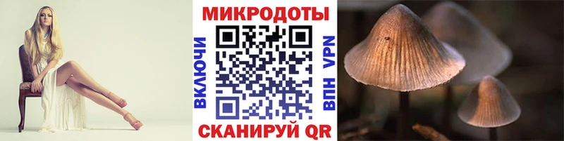 это формула Карачаевск Галлюциногенные грибы прущие грибы как найти закладки
